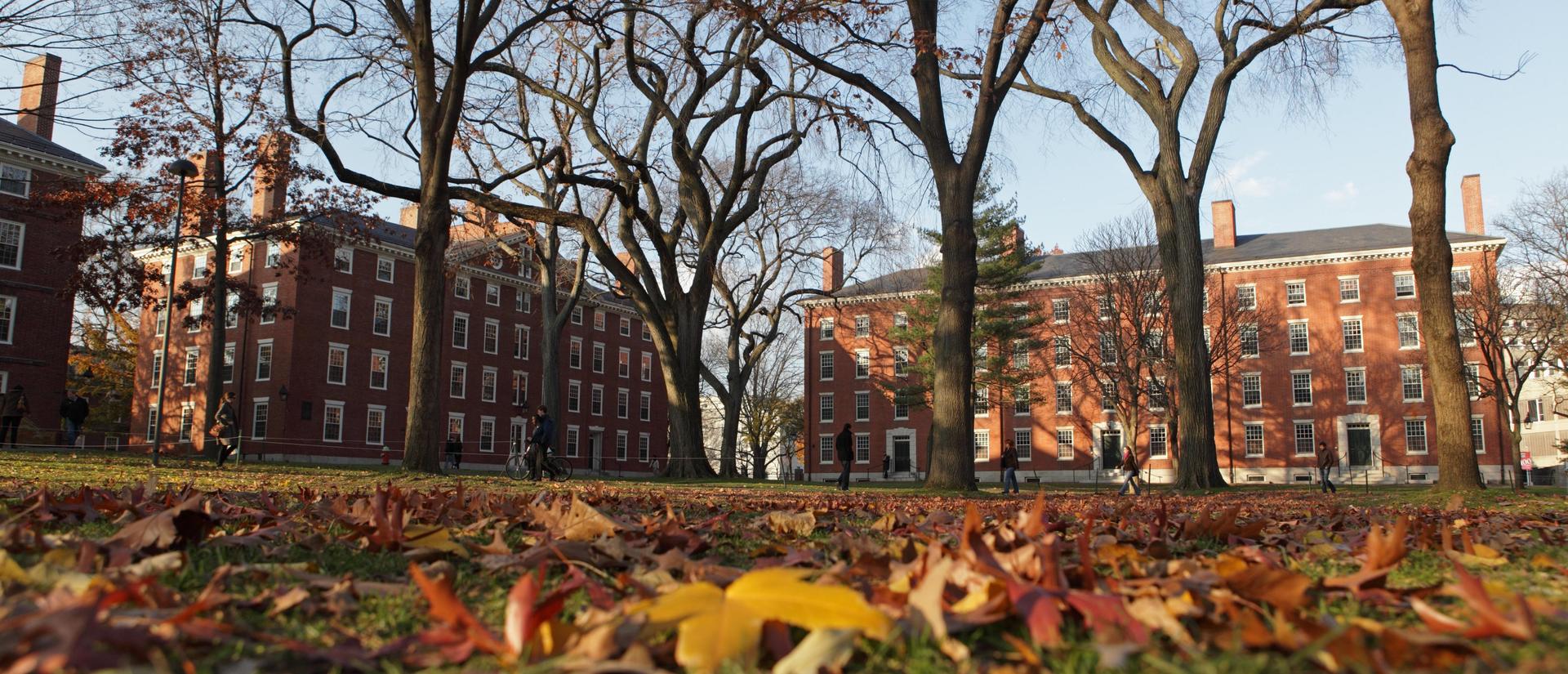 background_harvard_yard.jpg